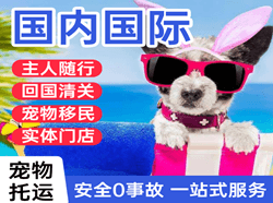 玉树巴塘航空运输国际宠物托运 【国